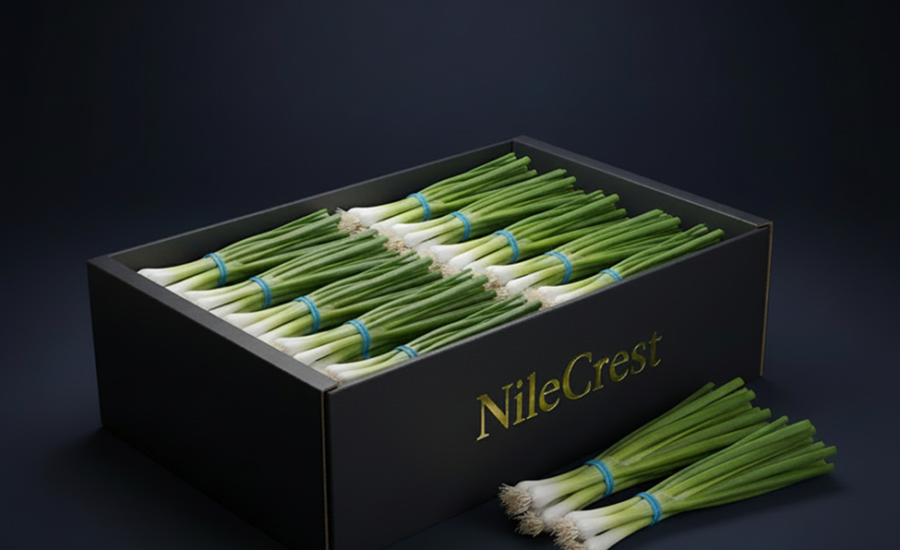 Fresh export-grade Egyptian spring onions from Nile Crest, NC-FR-05