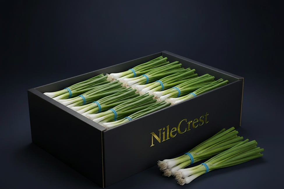 Fresh export-grade Egyptian spring onions from Nile Crest, NC-FR-05
