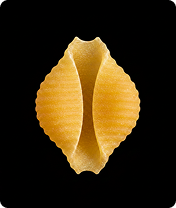 Conchiglie shell pasta by NileCrest